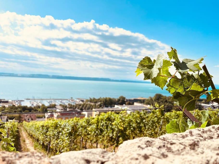 Charmant Appartement De Vacances Alta Ripa Hauterive  Exterior photo